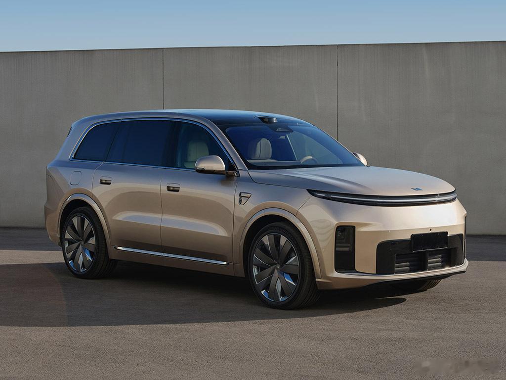 理想L9还是有踏板的，还以为用主动悬架革踏板的命，很不显眼 