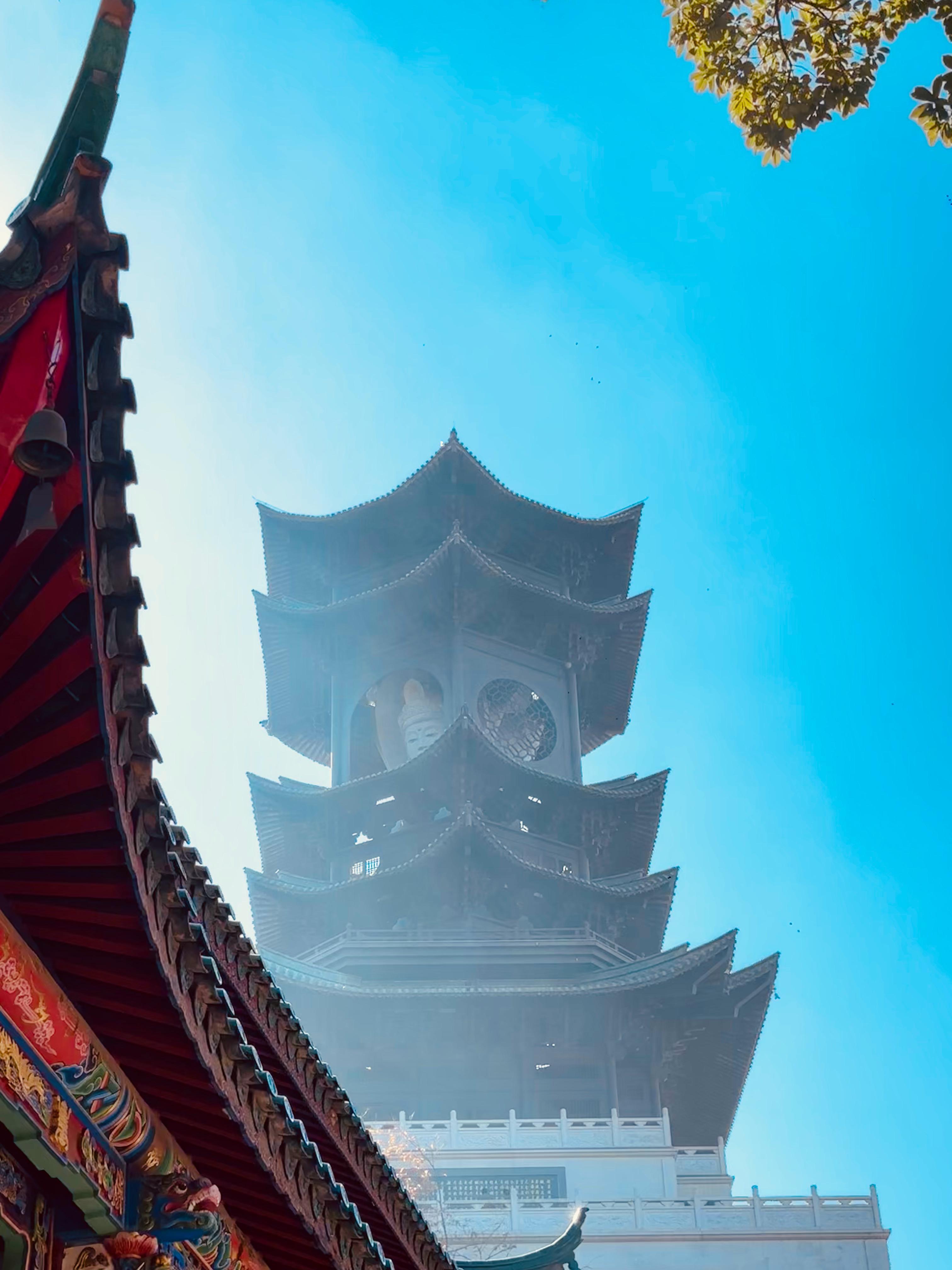 这几年第1001次认为，健康平安是最重要的事，它们甚至有一些奢侈 