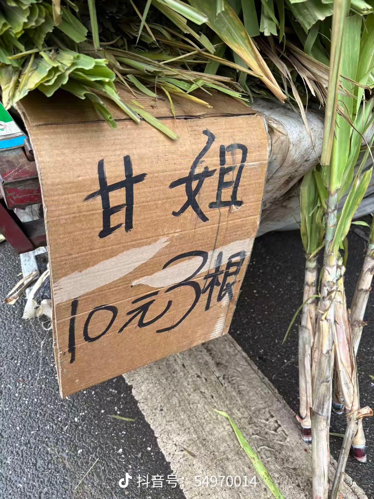 看图猜字👀 