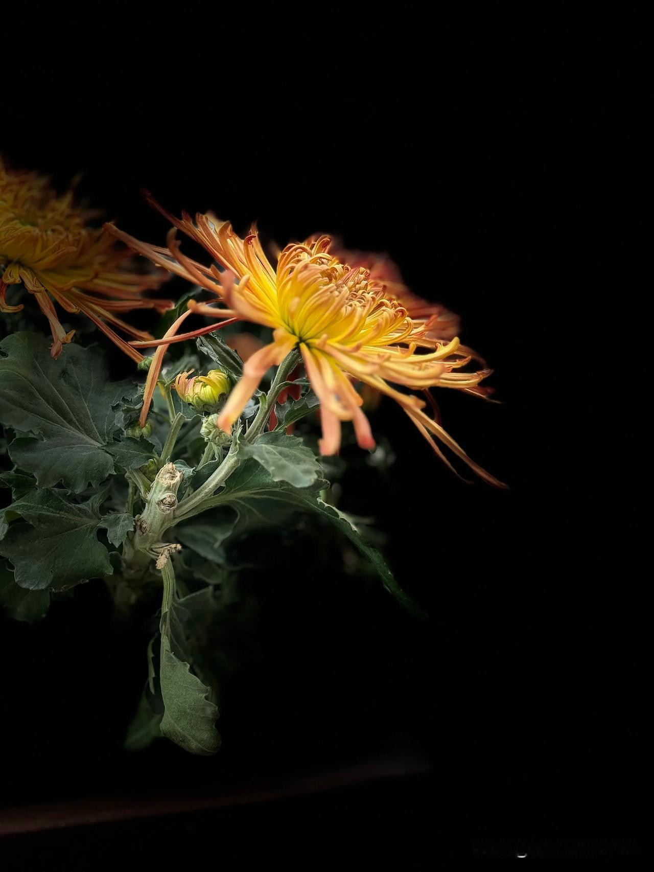 莫言说：“ 最好的人，
                    像孩子一样真诚，