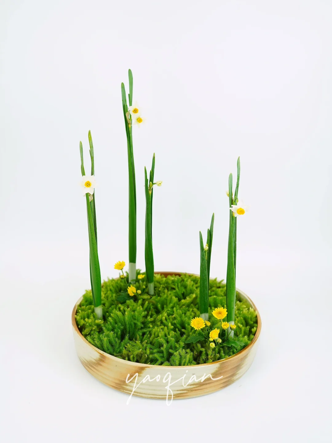 新年伊始第一课 | 凌波仙子生尘袜