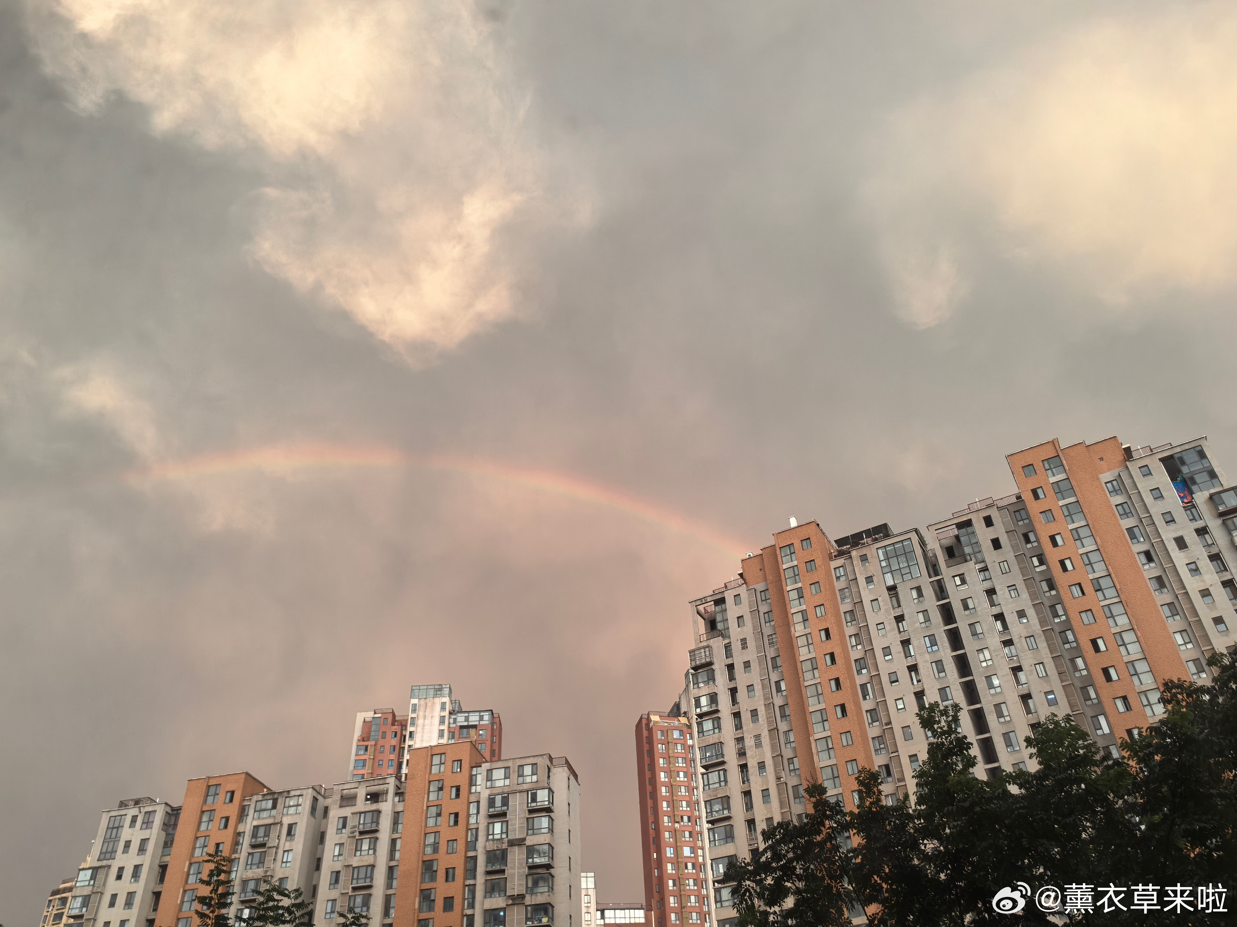 日常分享 一阵狂风骤雨后出现了彩虹呢🌈，赶紧下楼看看去🚶🏻♀️ 西安·浐灞