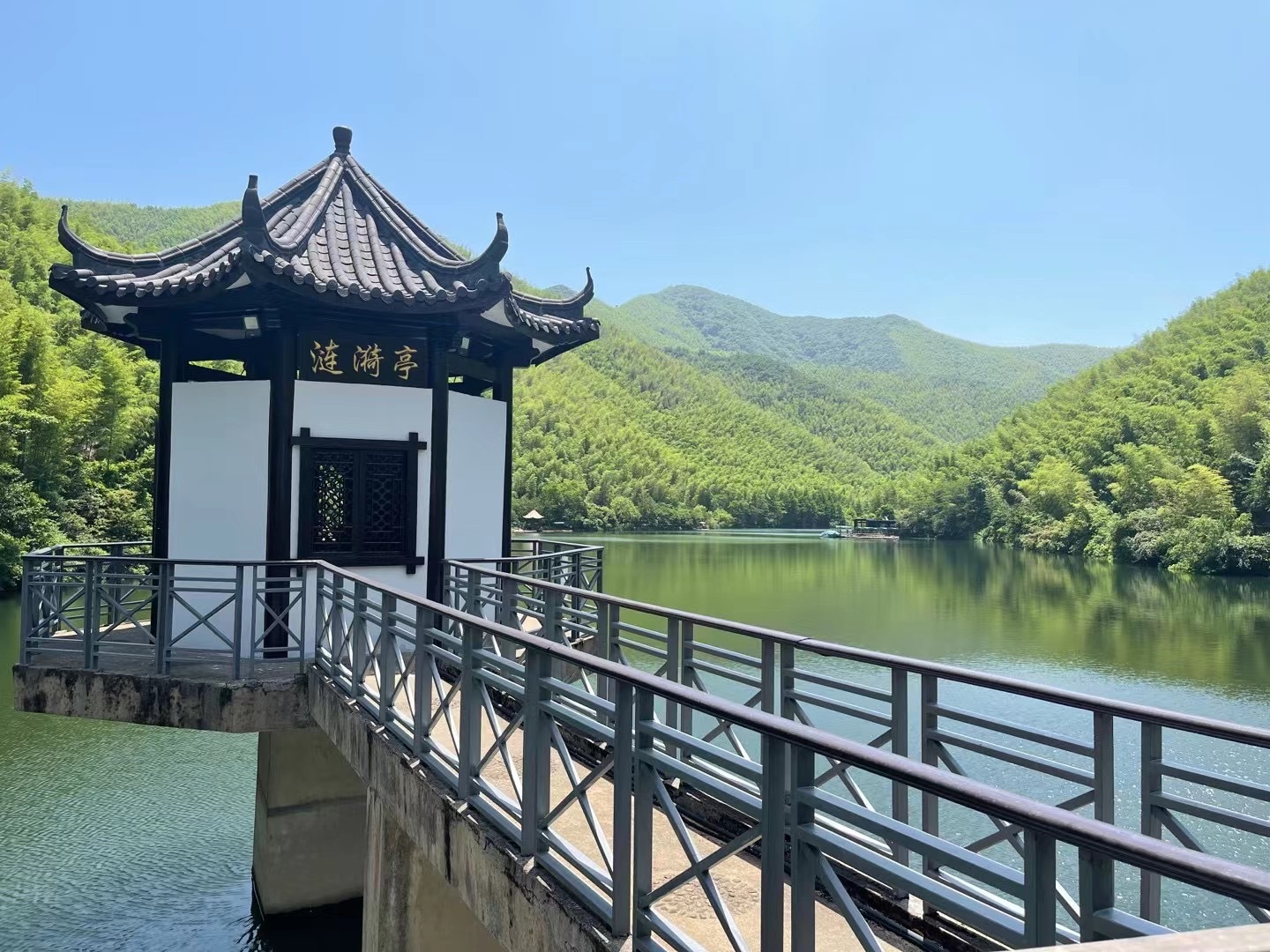 白鹿  生活充满阳光只要心里有阳光，雨天也是一种浪漫；如果心里下着雨，晴天也是一