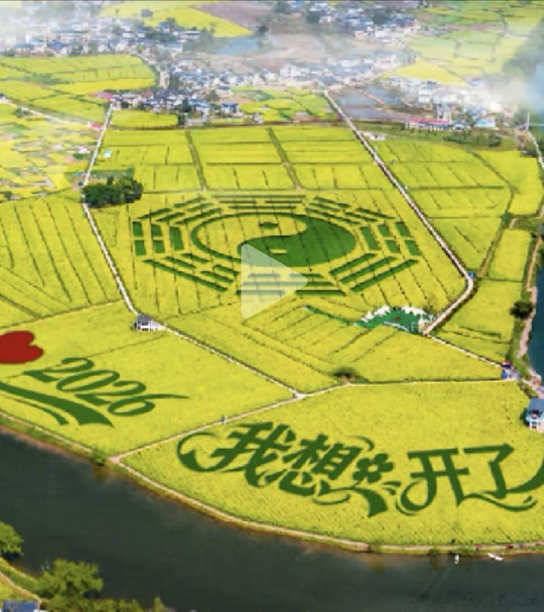 一生都在希望父母是和谐共处的。直到他们离开后我才想开了。他们没法和谐共处，那也是