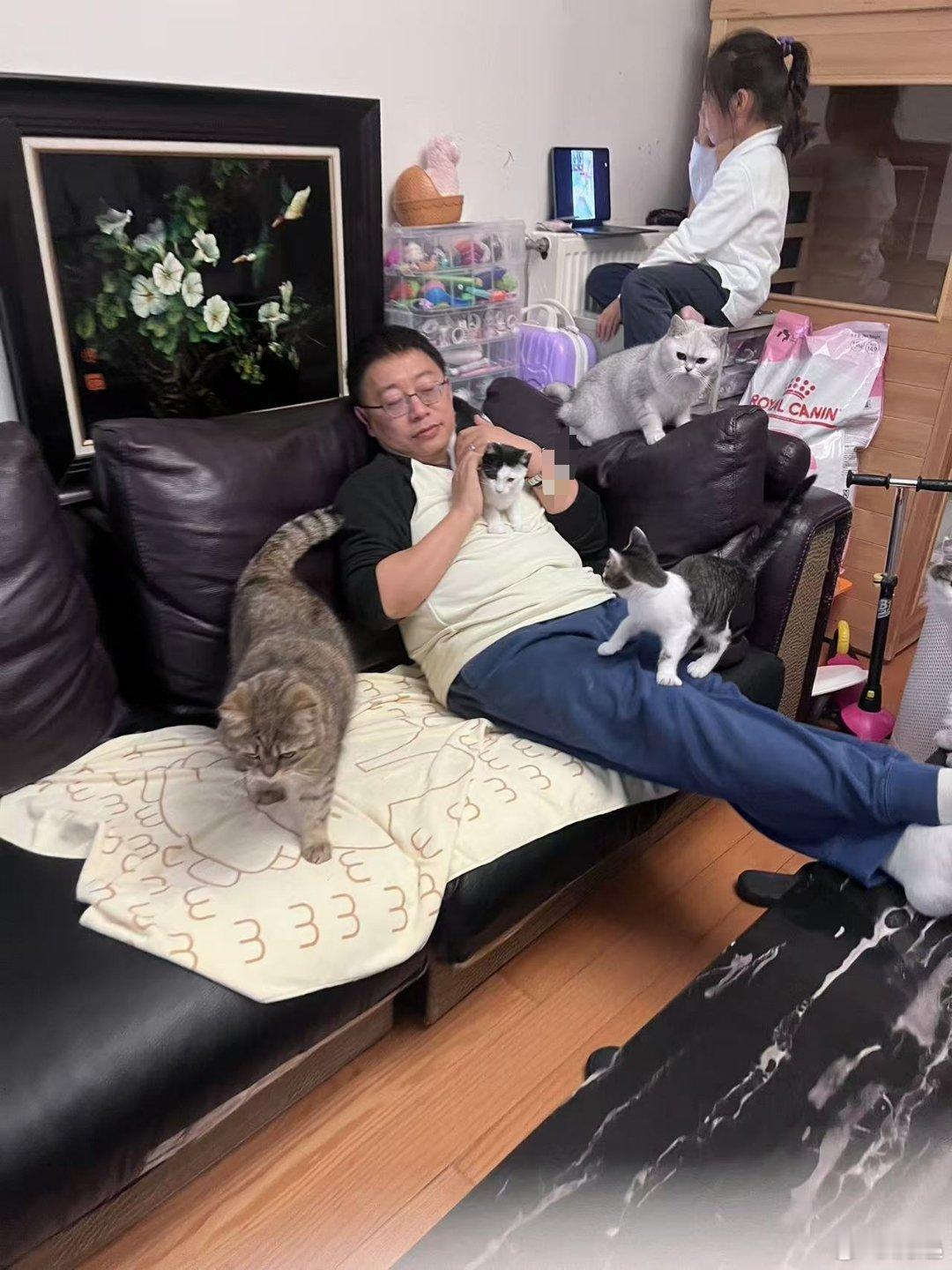 地基的撸猫时刻 ​​​