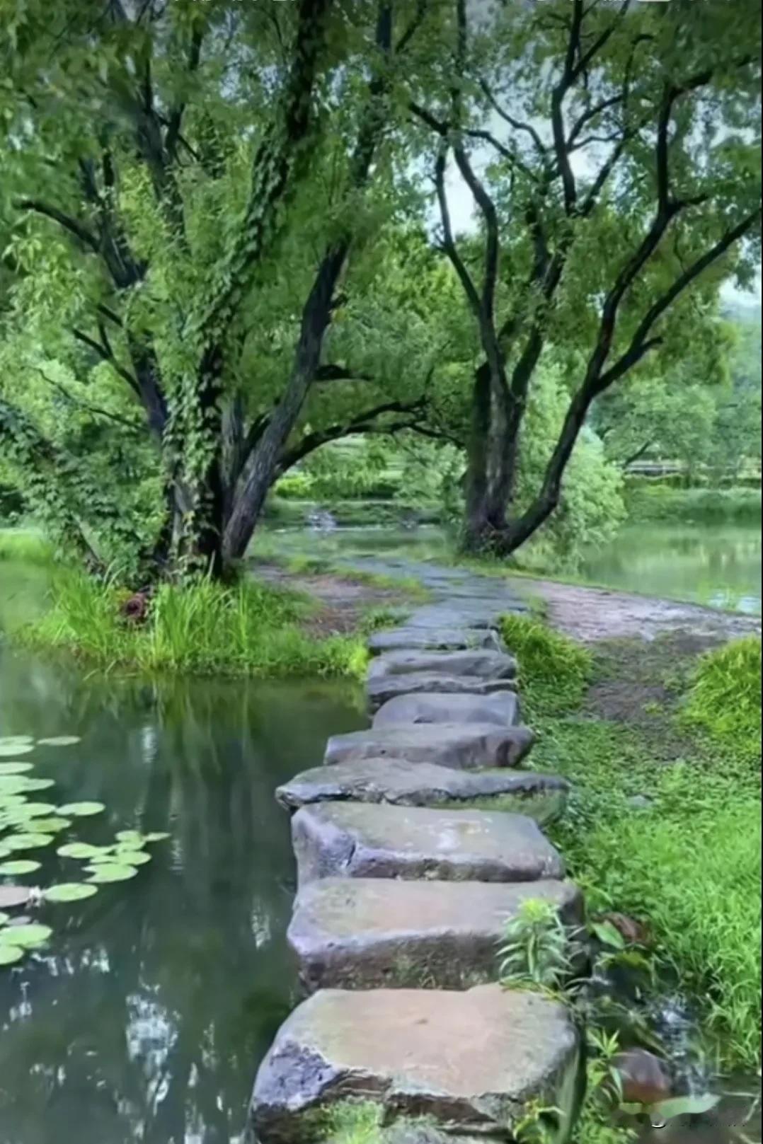 《如梦令·无求自归》
 
放下万般期待，
一念随缘无碍。
无欲自安然，
满载清风