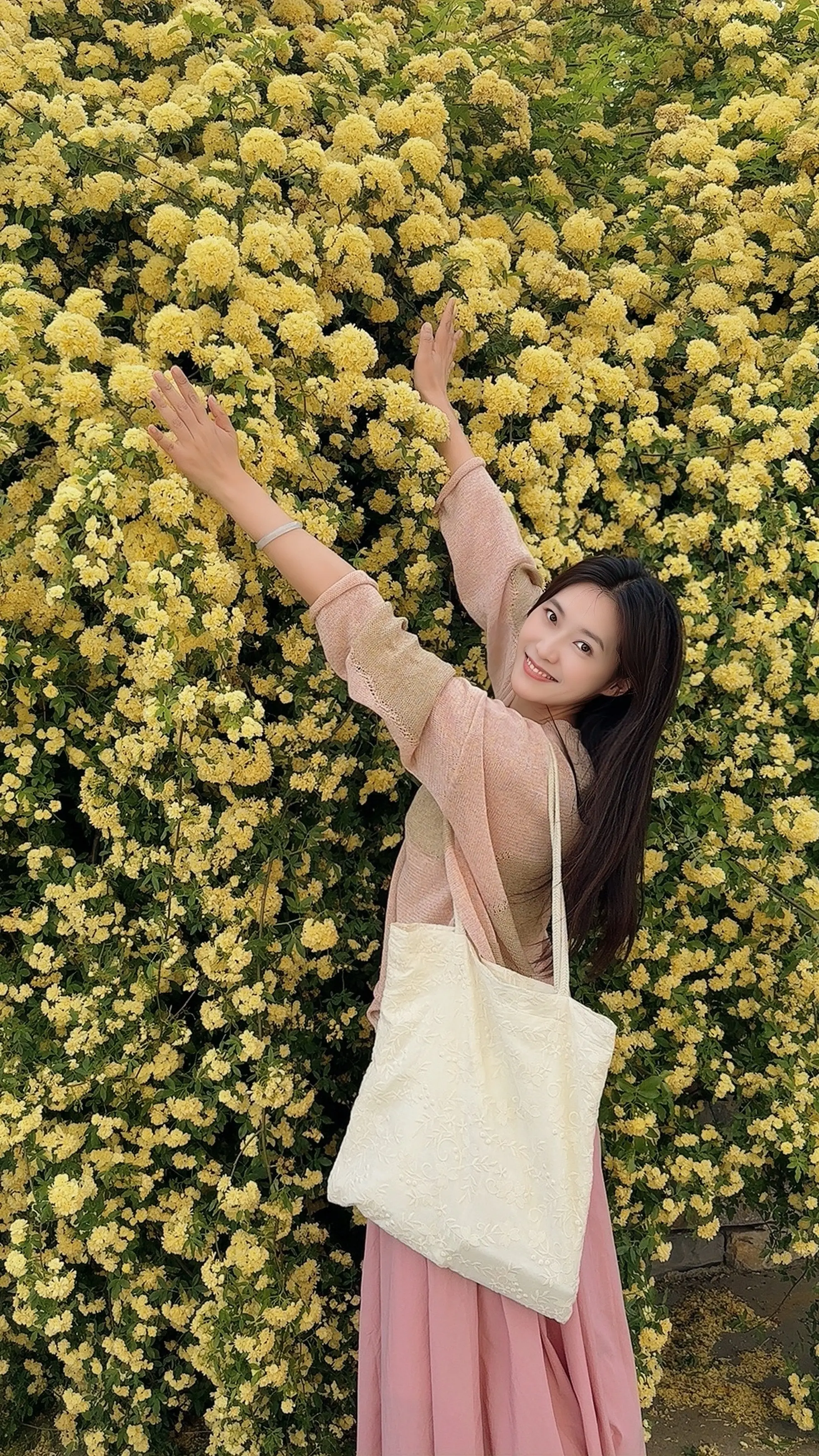 木香花开的春天，是人间的四月天