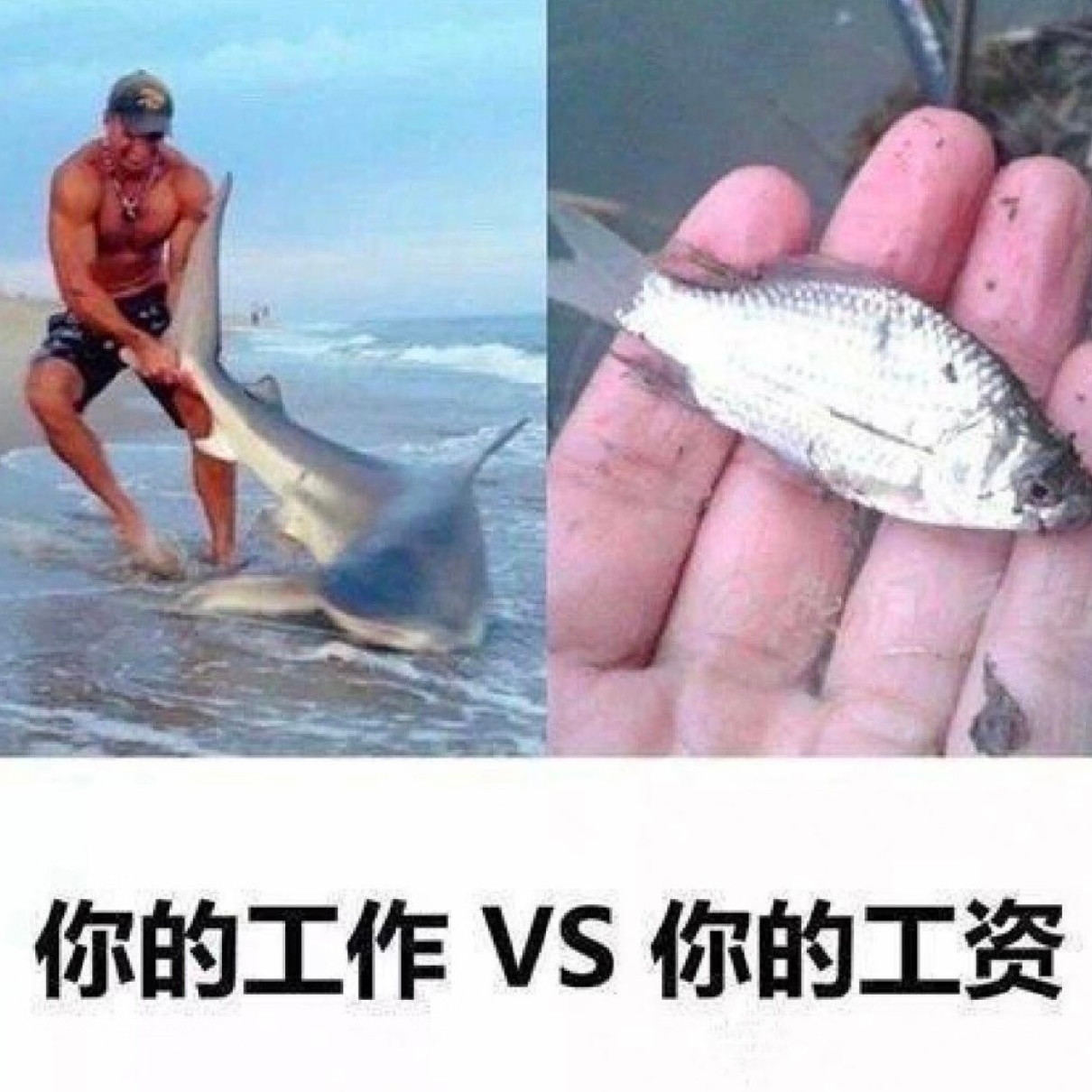 二五，天雷无妄阳气抒发，守旧如常注意头部，腿足，呼吸系统防纷争不和宜：祭祀 祈福