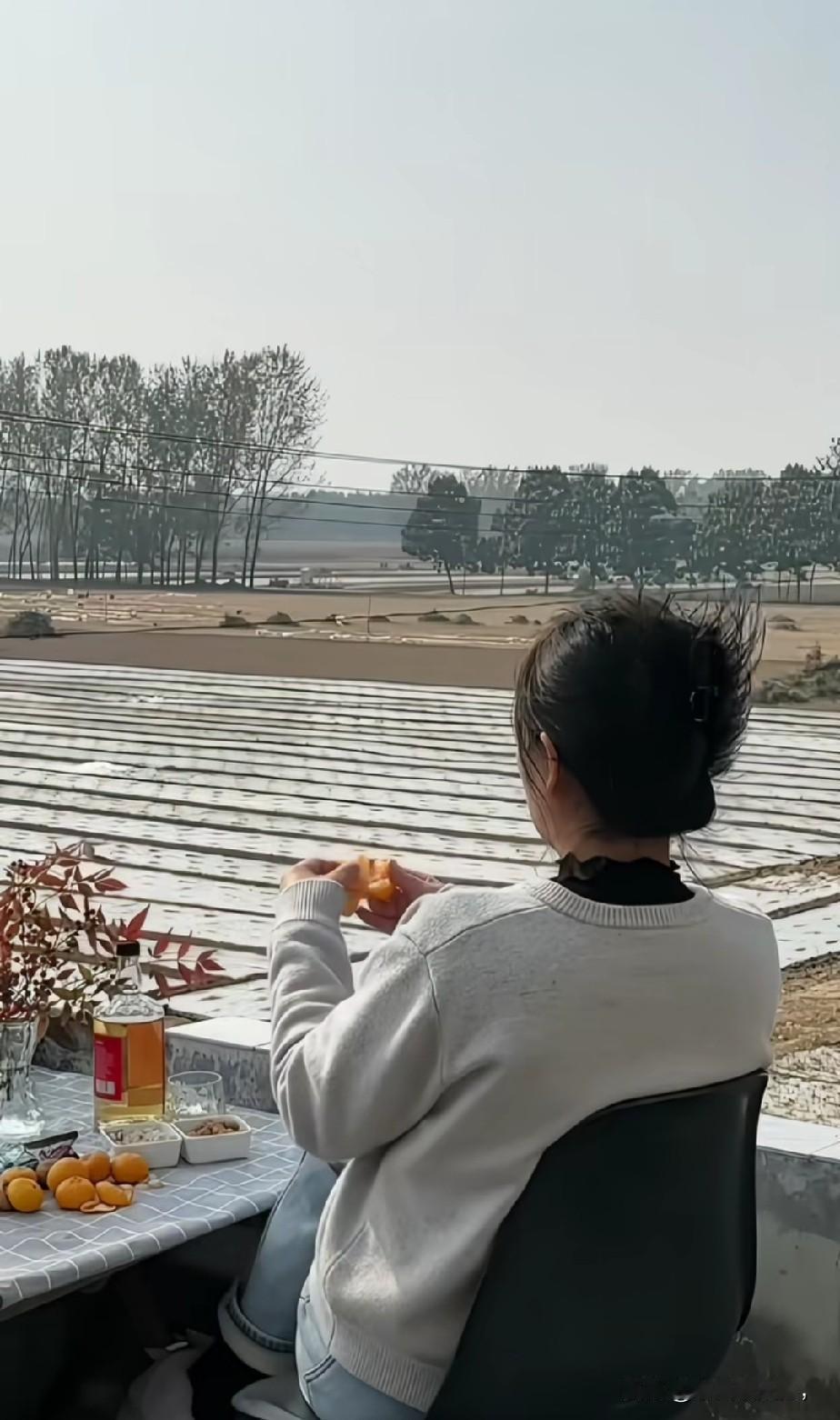 春望花开万紫千红
夏守绿荫一望无际
秋收金黄满仓希望
冬有雪飞大地如银
人生平安