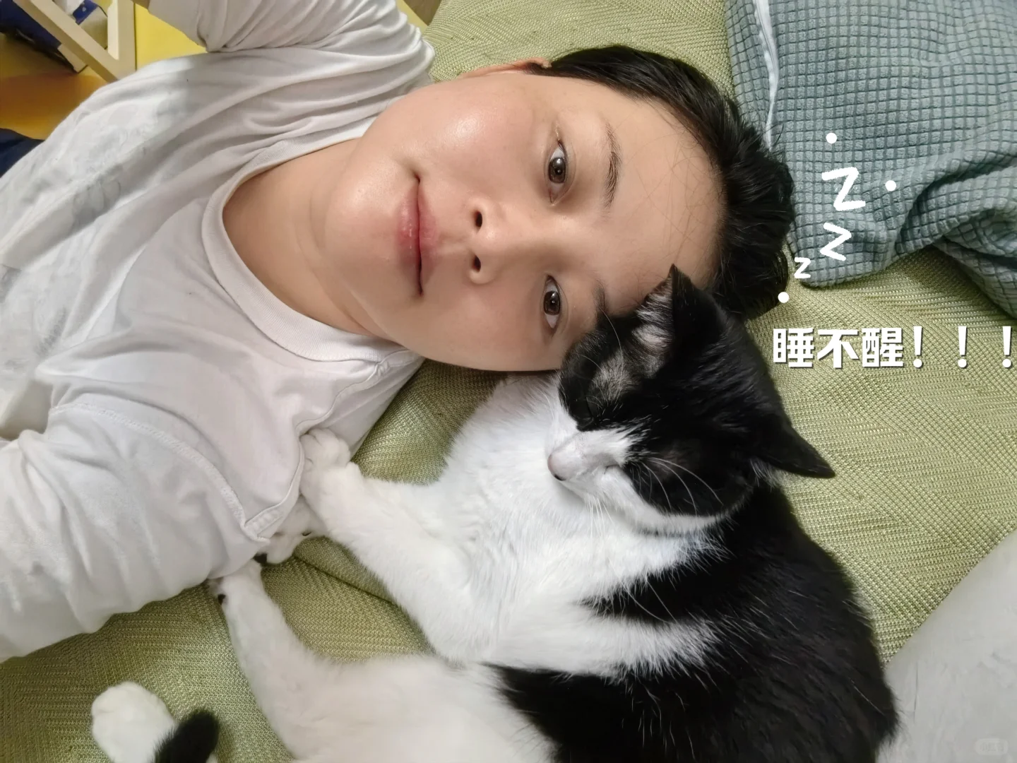 小猫是世界上最好的解药🥰