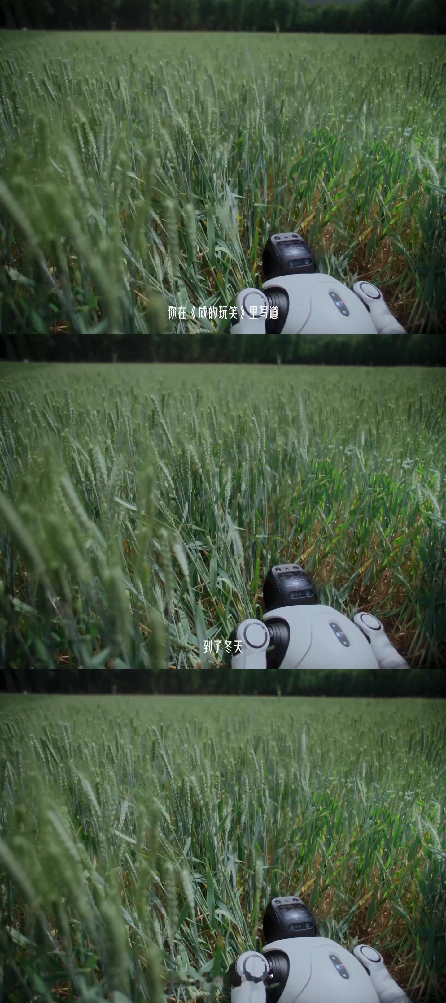 刘震云说AI也不容易温柔对话化解焦虑，以自然生长喻人生节奏。不必急于被看见，像麦