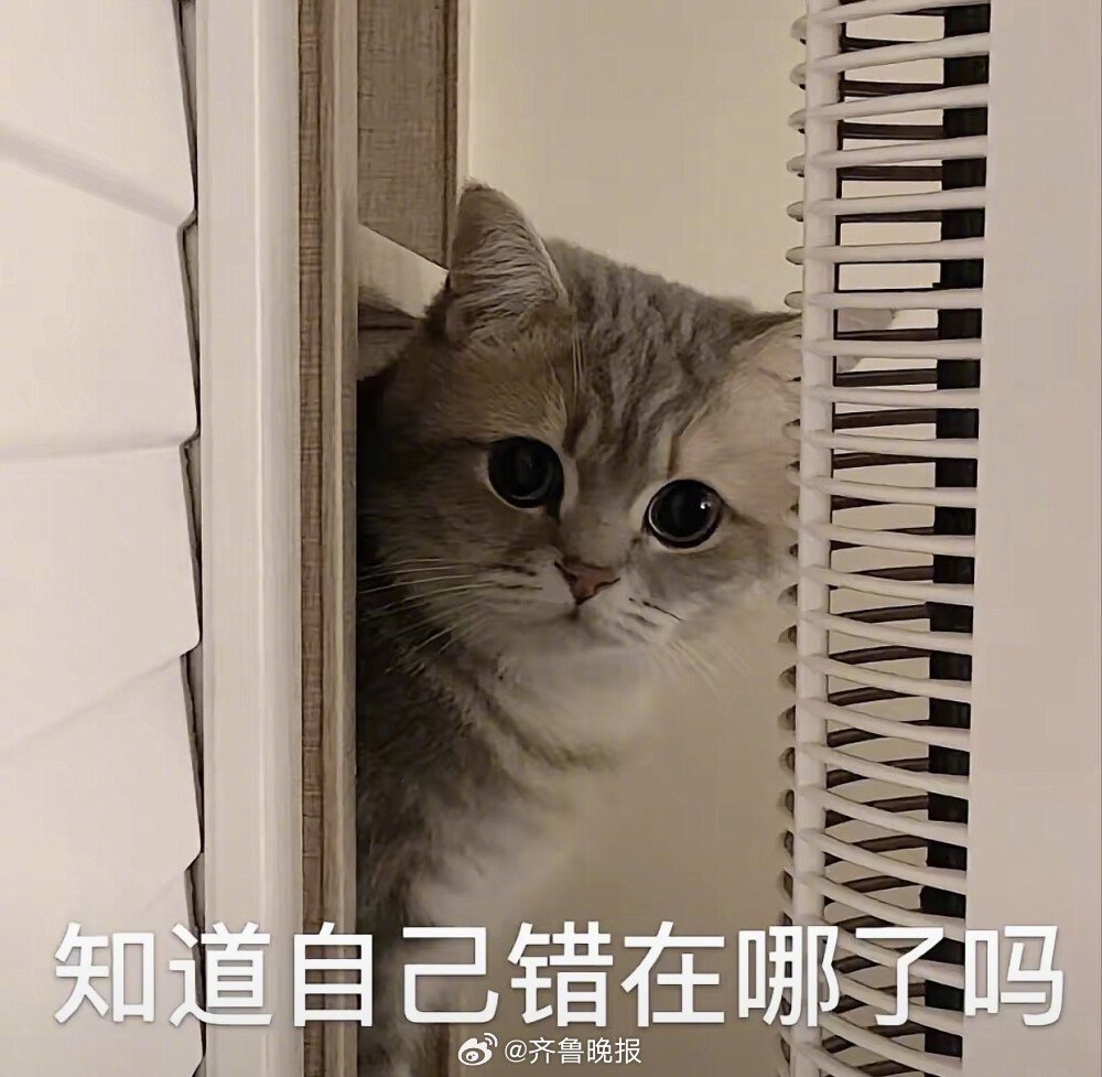 烦恼吵一架，气跑了最好。#晚安# ​​​