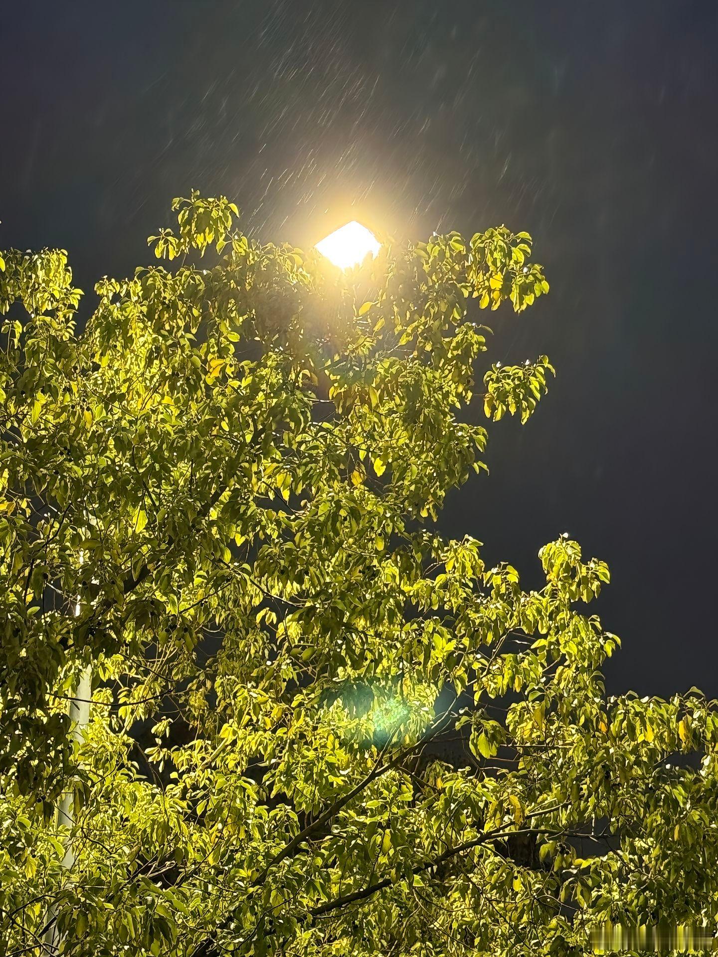 “肩上都扛着不同的责任，心里都藏着很多委屈。赚钱的路上充满了很多艰辛，面临生活的