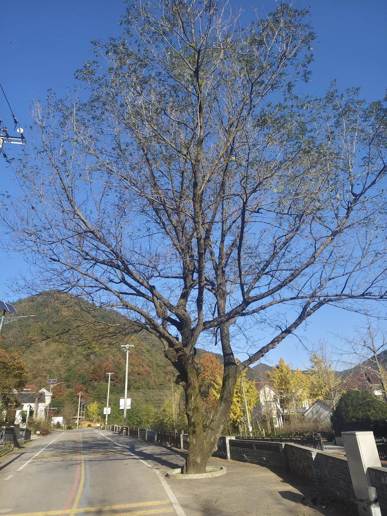 事出反常必有妖:[捂脸]

（1）“躺平的一代”:因为年轻人认为即便自己跪着也未