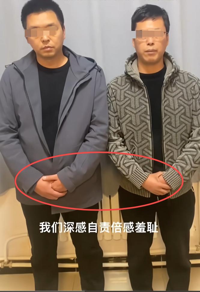 事教人，一次就会了
秦岭扔东西那两人，
道歉了，但我看他俩这表情，是真的怕了。