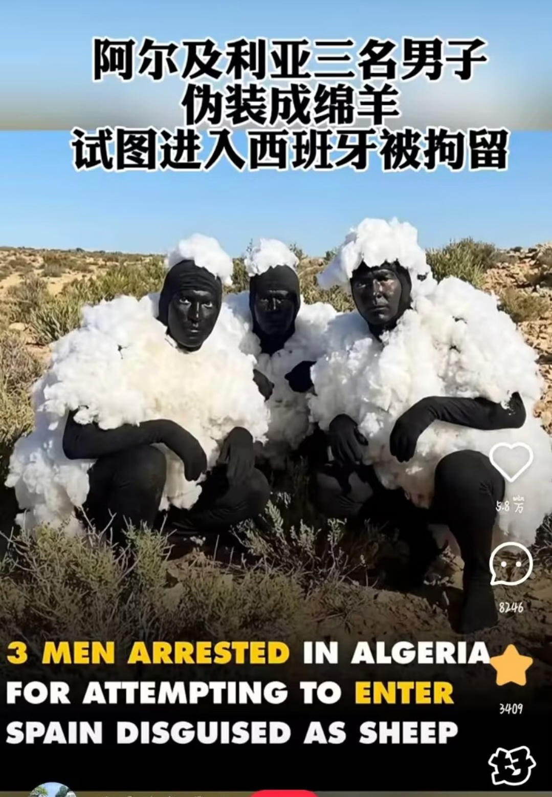 6557怎么不算易羊迁徙 