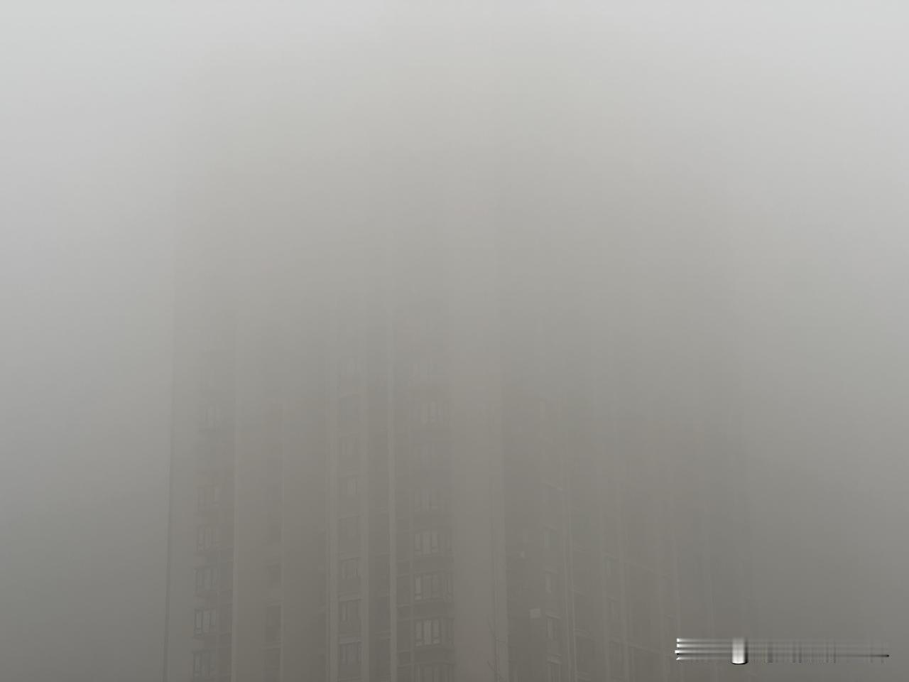 啊啊啊！啥也看不见了啊！1月15日，星期四上午8点，重庆主城区，大雾弥漫……真的