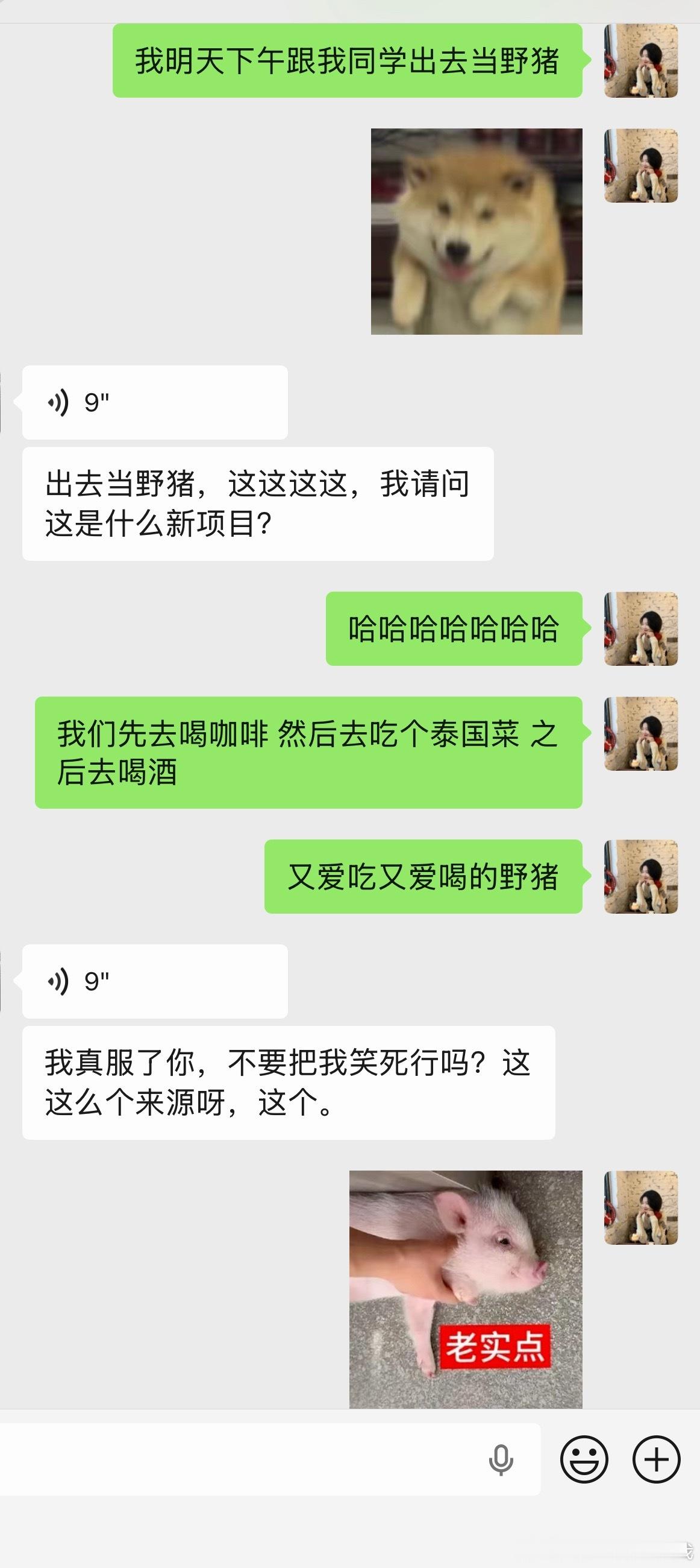 我是野猪🐗 