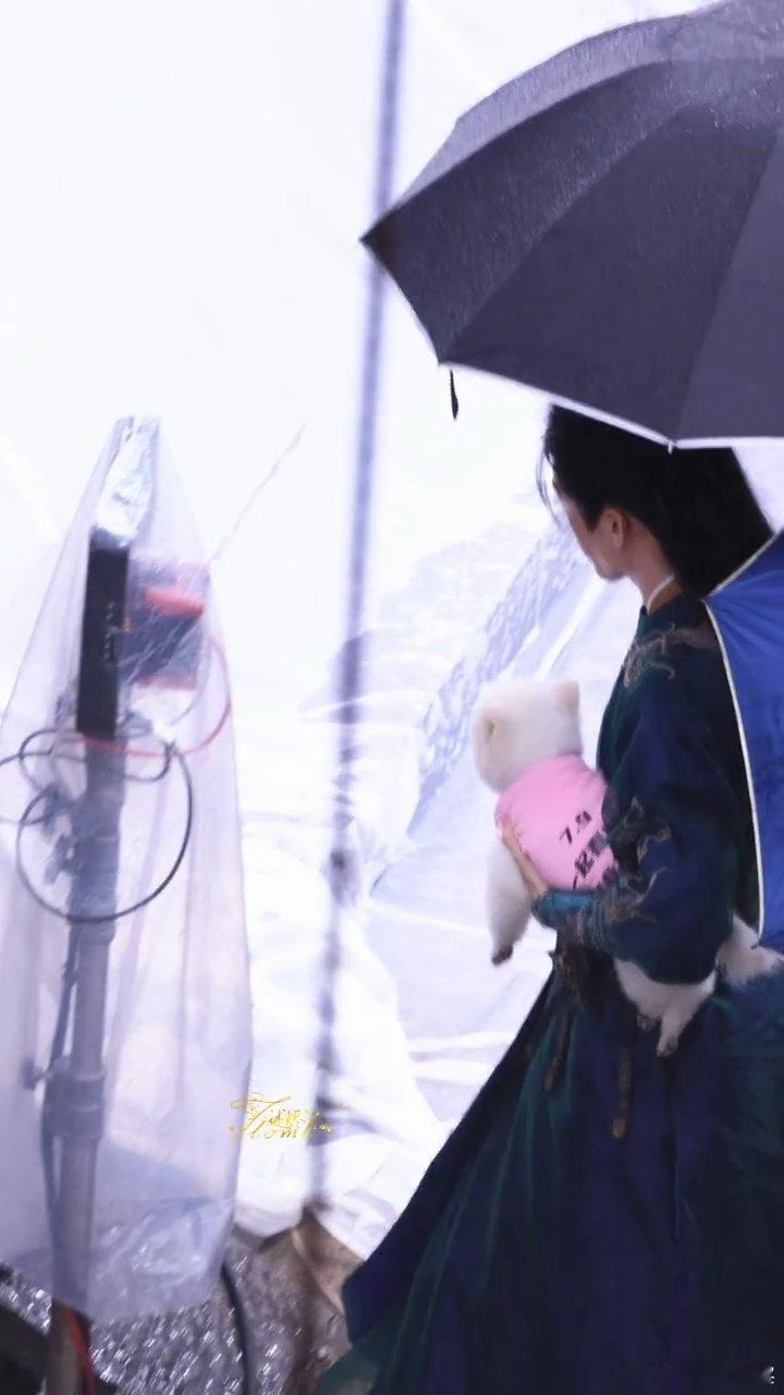 孟子义孟子义的狗探班曾舜晞孟子义的狗巧克力剧宣到了曾舜晞剧组 巧克力我呀，替主人