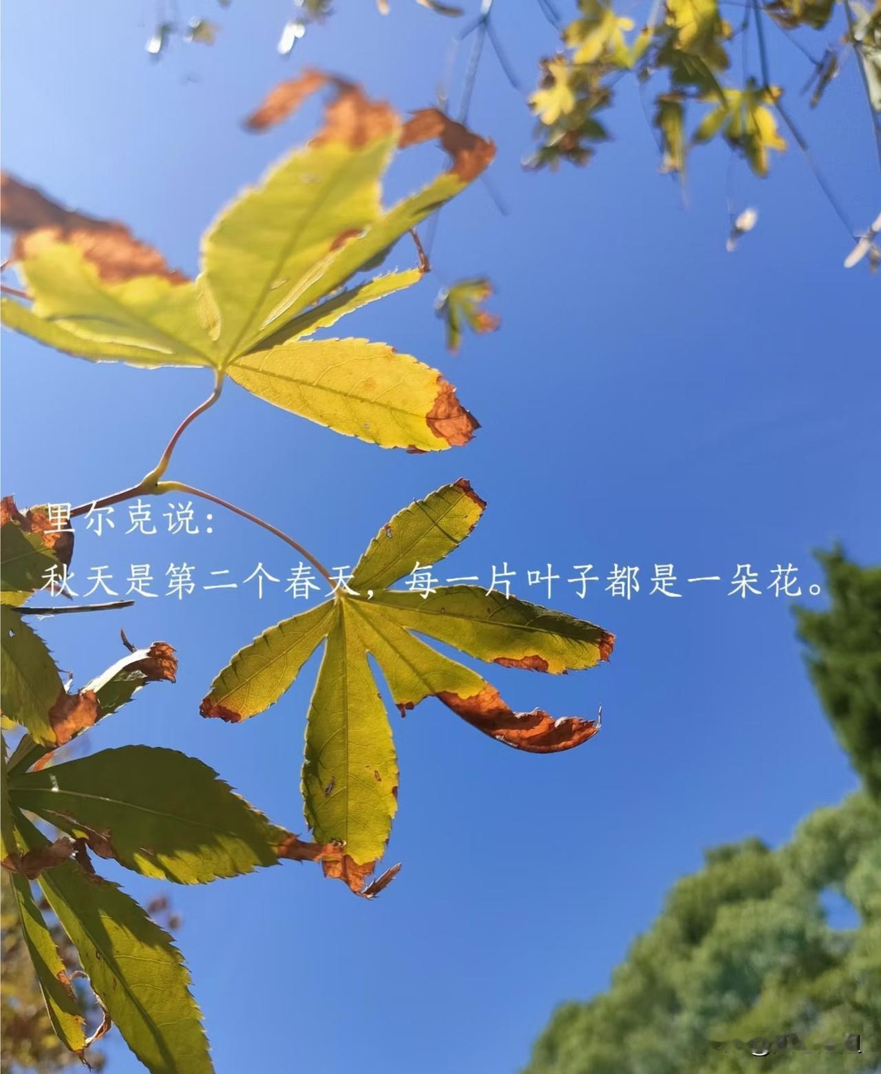一位世外高人说：“人是没有家的！后半生最大的清醒，就是戒掉对家的执念。世上没有永