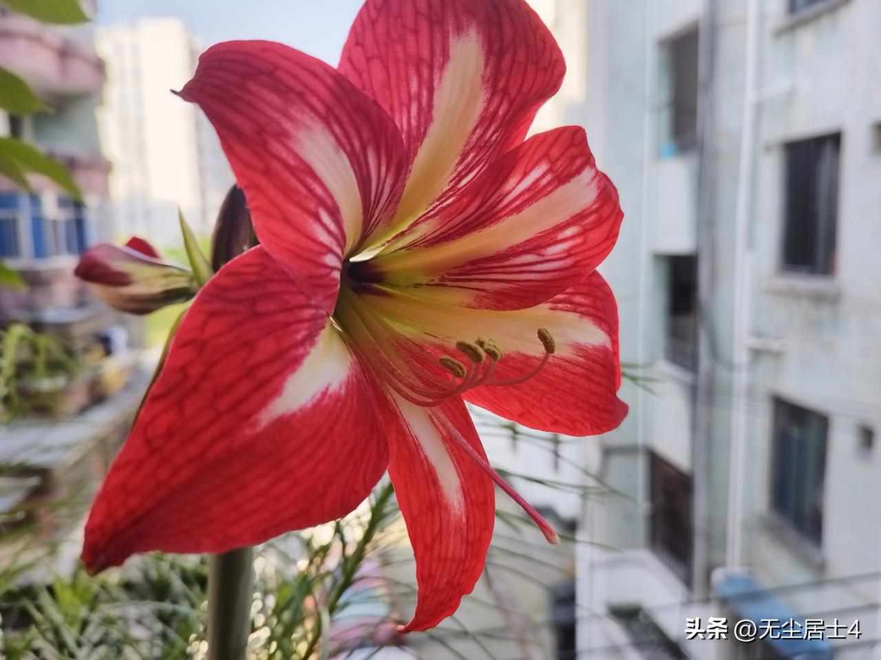 胃癌患者不用怕，术后医学报告只要有这几个术语，那么恭喜你，只要饮食注意，以后就和