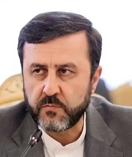 困在车辙里的鱼向东大讨一瓢饮，东大说我正要去联合国引西江正义之水为你解渴！伊朗副