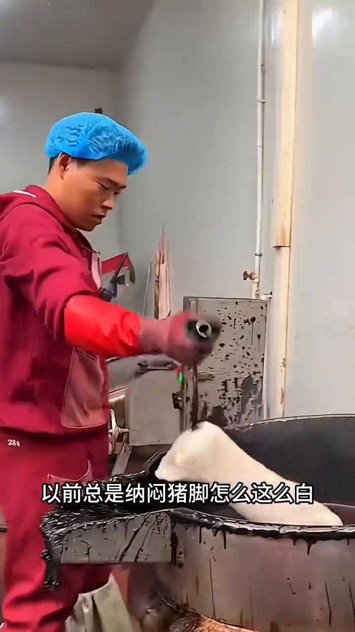 以前总是纳闷猪脚怎么这么白，今算开了眼。先把指甲再滚一身黑浆，紧接着投进冷水。就