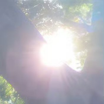 知识给人以爱，给人以光明，给人以智慧，应该说知识就是幸福，因为有了知识，就是摸到