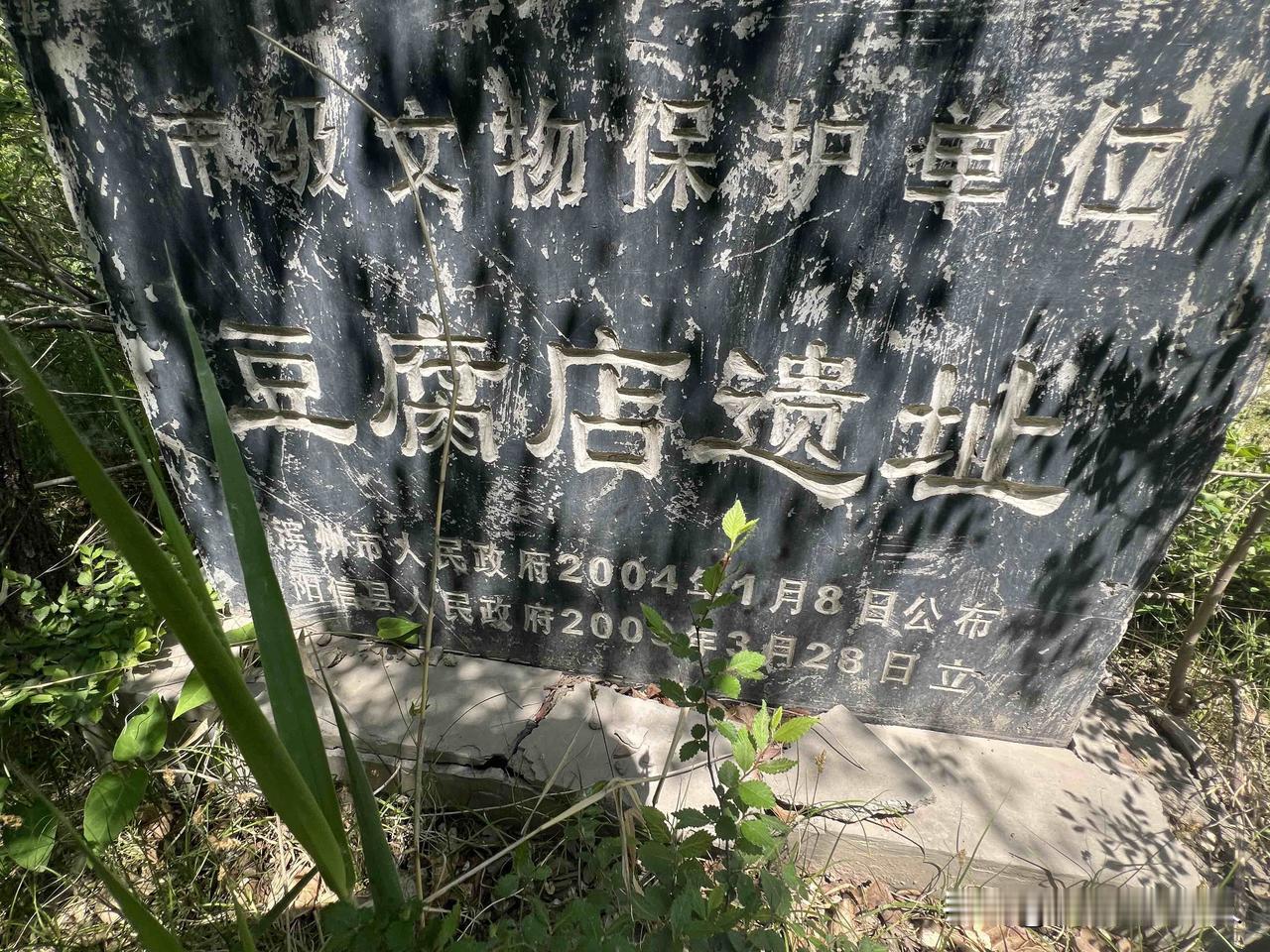 今天去了位于山东阳信县河流镇南宋村的狼丘冢，是省级文物保护单位！简介上写的李唐遗