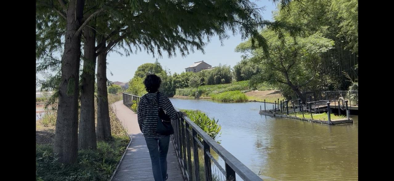 上午9点半，我和美食搭子坐公交、再换地铁，花了5块钱车费，来到浦东惠南镇的海沈村