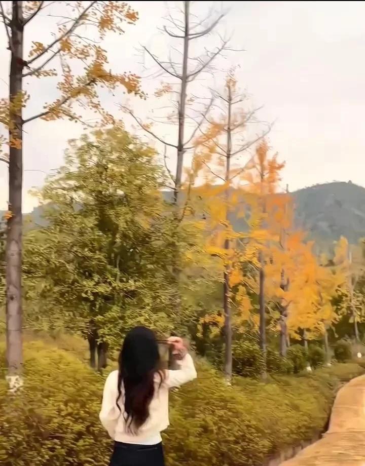 01找对象真诚的呀
本人会昌的 在于都上班呢