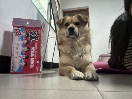 瑜伽搭子
