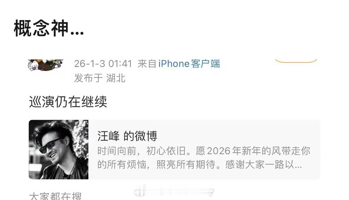 汪峰概念神 
