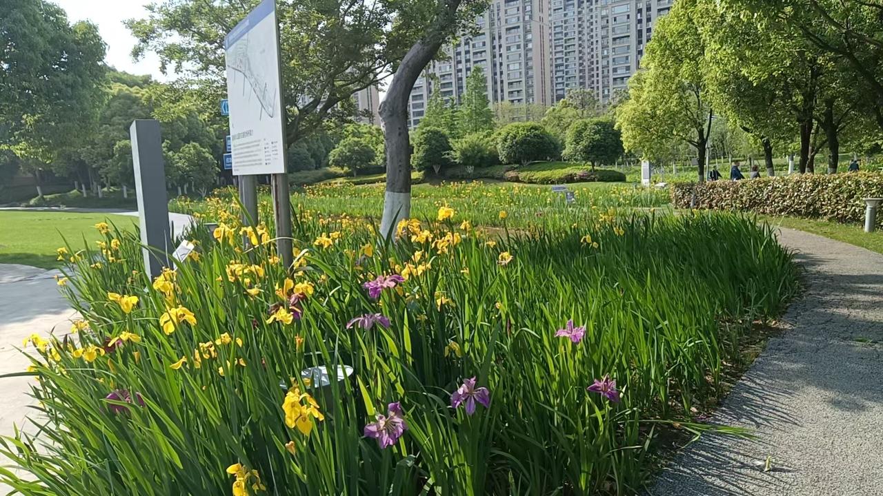 结婚，离婚，干婚！干婚可以解决很多麻烦，搭伙过日子！适合目前高压力状态下的生存现