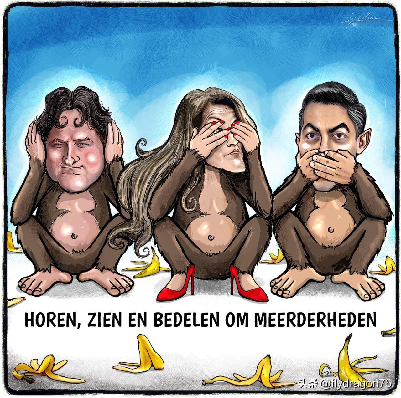 🇳🇱荷兰组建政府的局面真是令人瞠目结舌！三位自由派政党领袖尽管未能获得多数选