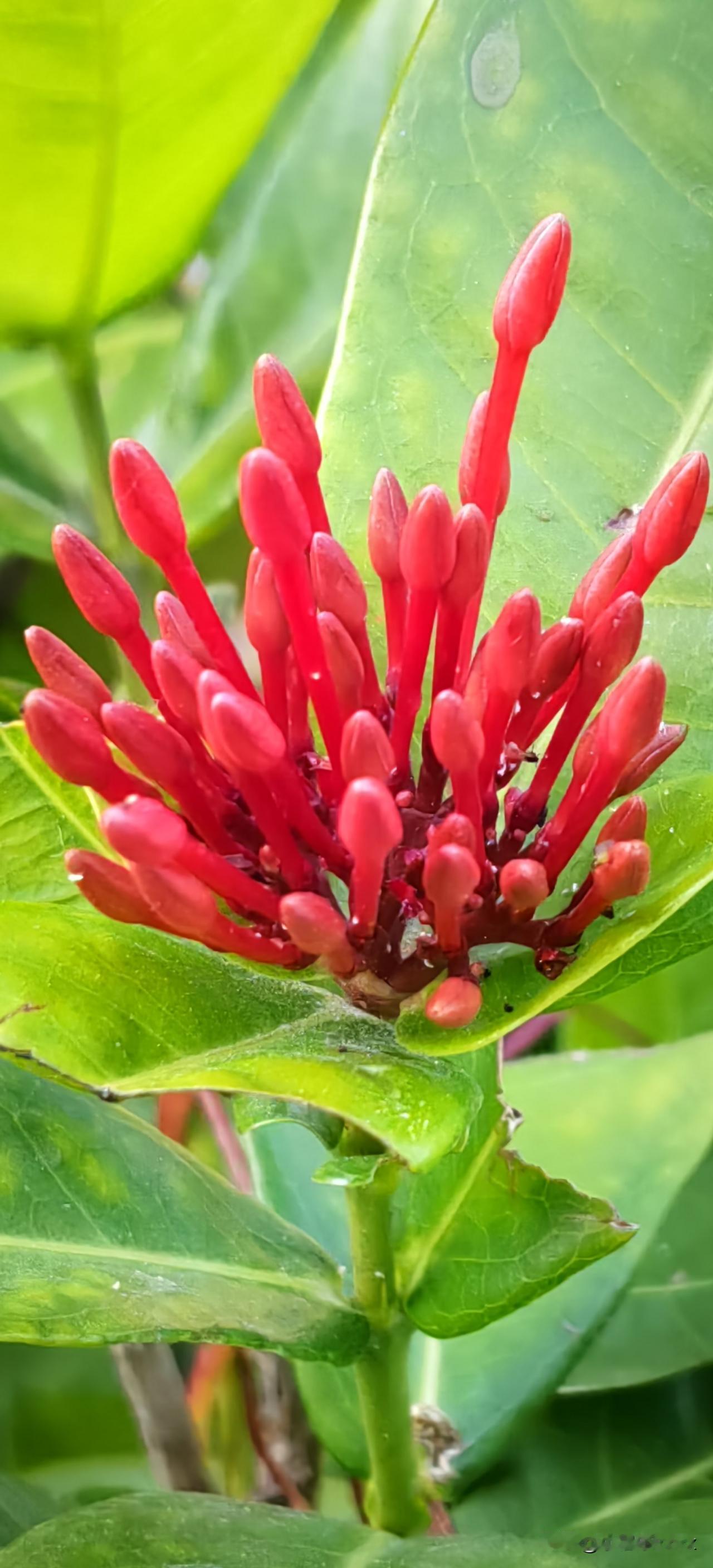 [打脸]如今的世界陷入了混乱，这一切皆是特朗普挑动所致，隐隐有集体针对我国的态势