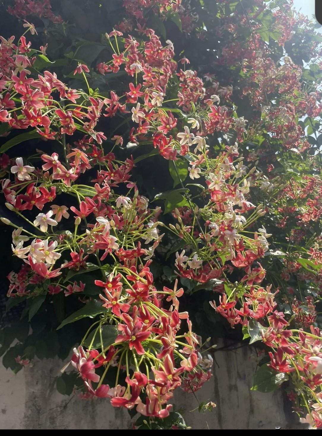 我认为快乐重要
因为成绩好不好是需要天赋
而快乐是随时随地都在的
如果学习使孩子