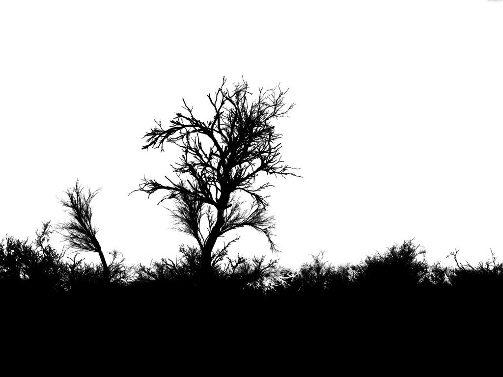英雄豪杰的死“给个痛快”……
苟延残喘的死“好死不如赖活着”……
人终有一死，或
