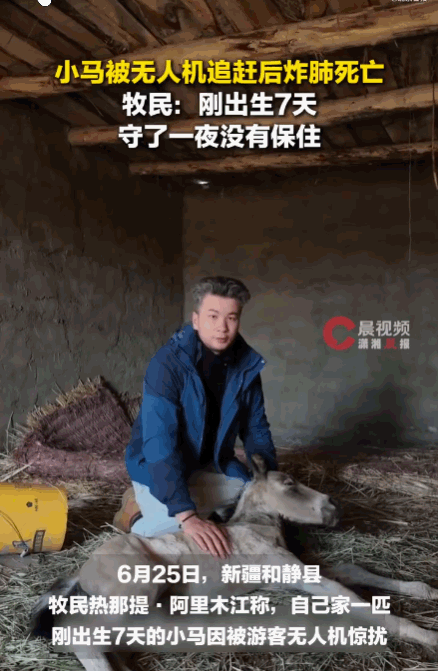 天生坏种！新疆和静县，草原上，一架游客的无人机突然低空掠过，其发出的嗡鸣声对于一
