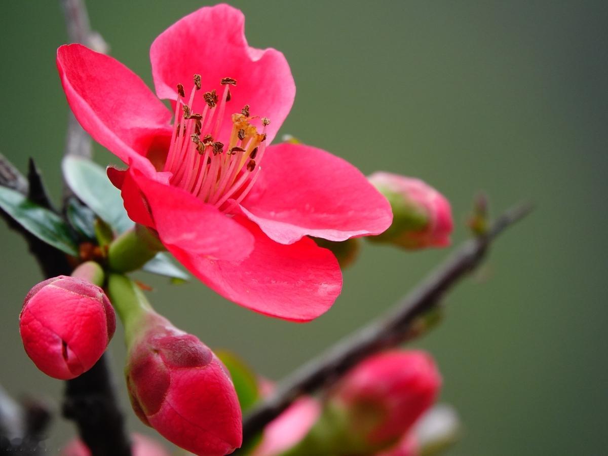 自己不想做的事情，不要总是要求别人做到，凡事换位思考，学着理解。不怨恨，不躁进，