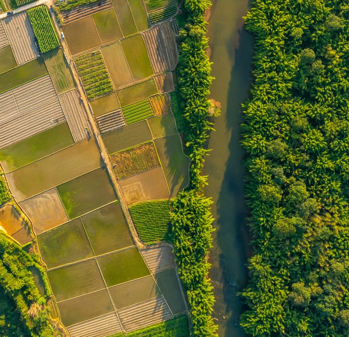 【在疲惫中拥抱希望，在琐碎里收集微光】
        生活就像一场漫长的马拉松