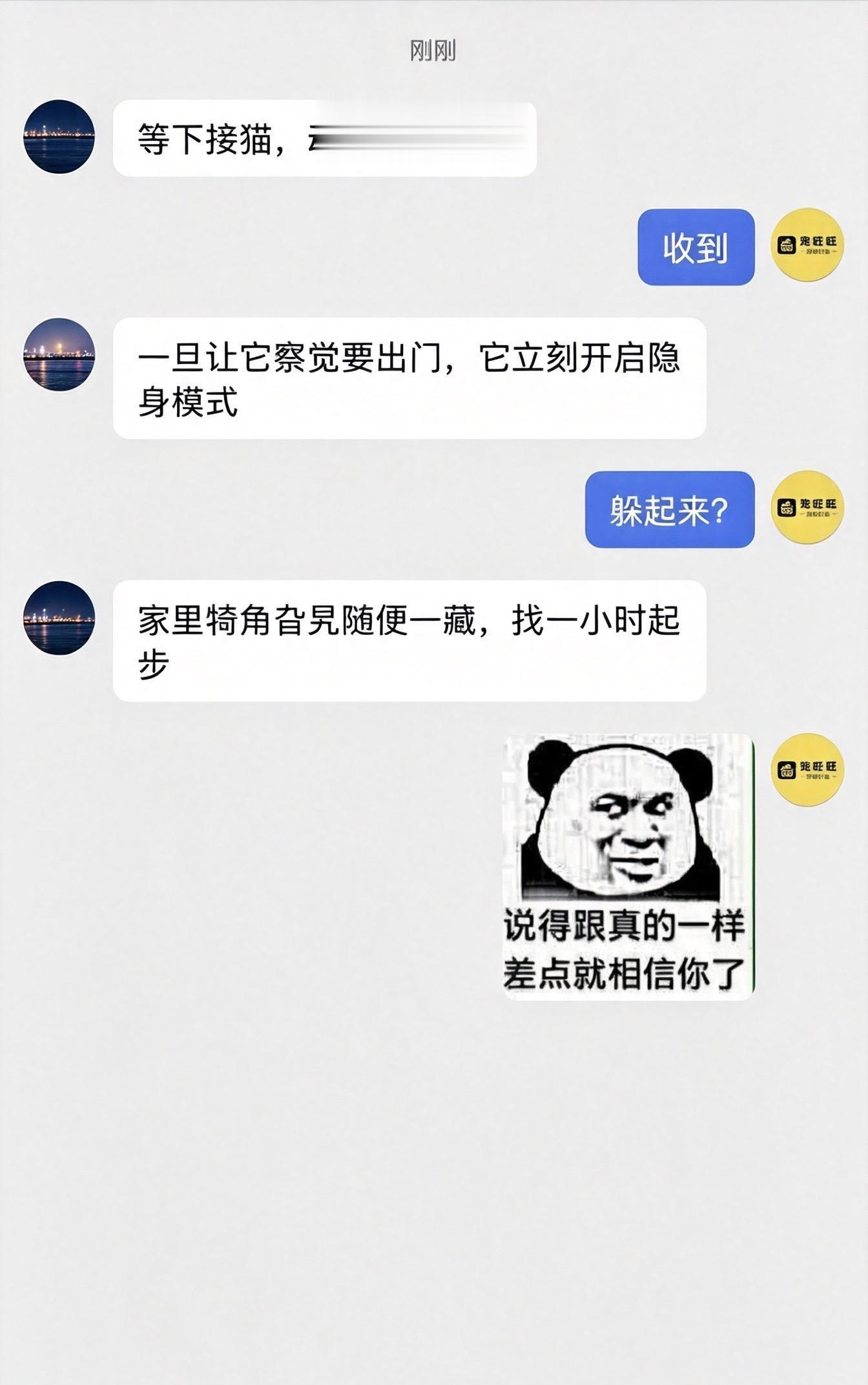 小猫预判出行，立马开启隐形buff.