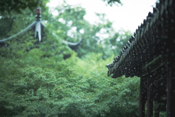 隐逸苏州的深秋， 体会道不尽的烟雨江南。 