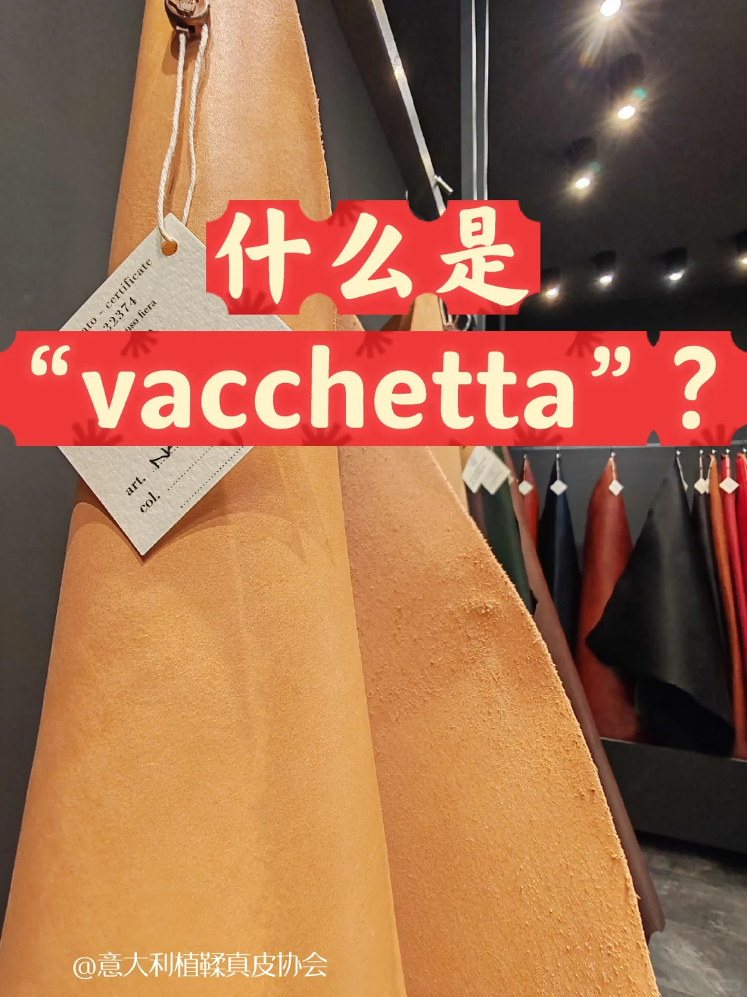 什么是“vacchetta”？🧐
