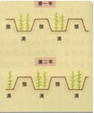 代田法
在浩瀚的中华农耕文明长河中，汉武帝时期无疑是一座巍峨的丰碑。彼时，大汉帝