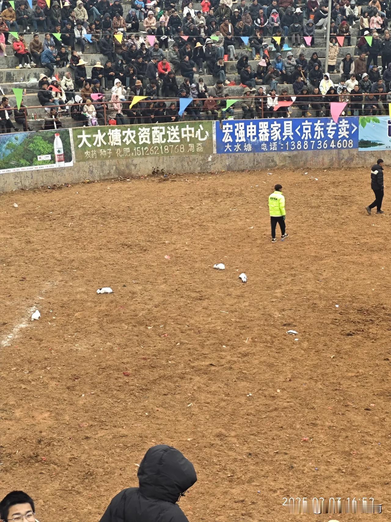 春节游玩，还得看云南。除了那些爬山涉水的自然景观，人文活动也是非常精彩，作为一个