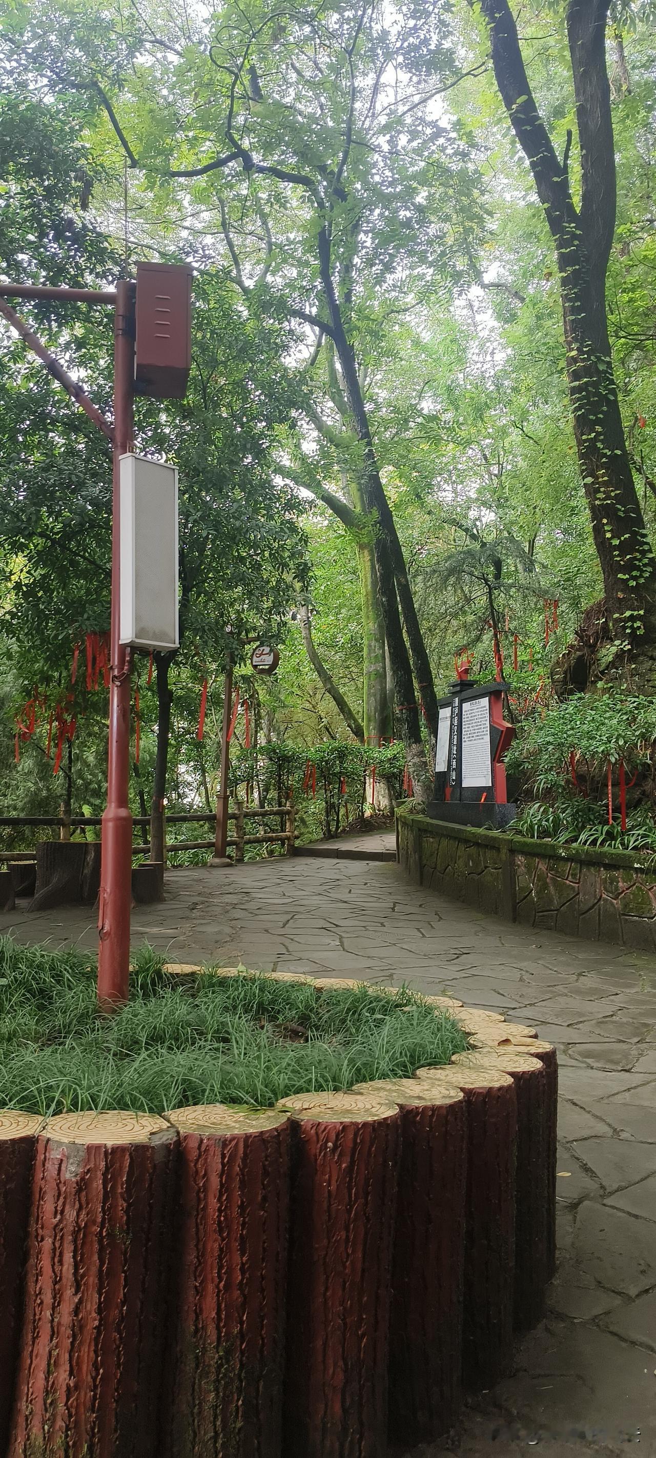 为了不给人生留遗憾，有能力带老父母去城市周边旅游，也算是一件有意义的事。

父母