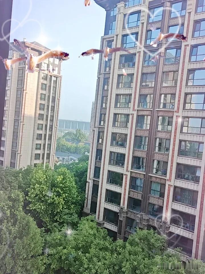 雨后的天
干净
一如今天的心情
努力了
会有收获
我知道
躲在暗处瑟瑟发抖的人