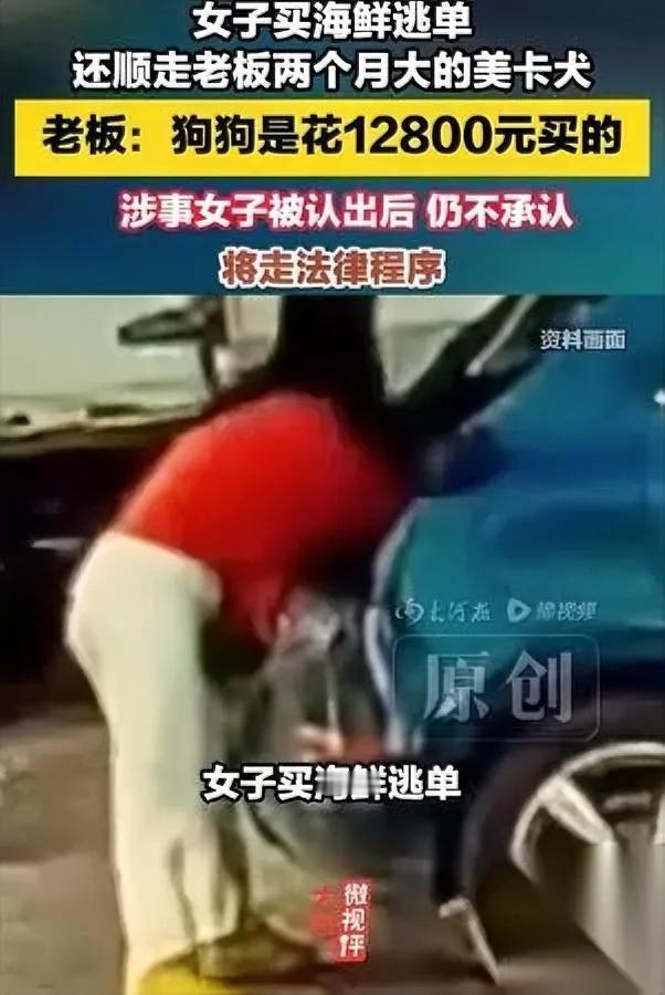 秦皇岛这事

太刷新三观

敢光天化日拿人一万两千多的幼犬跑路？

车主万先生怕