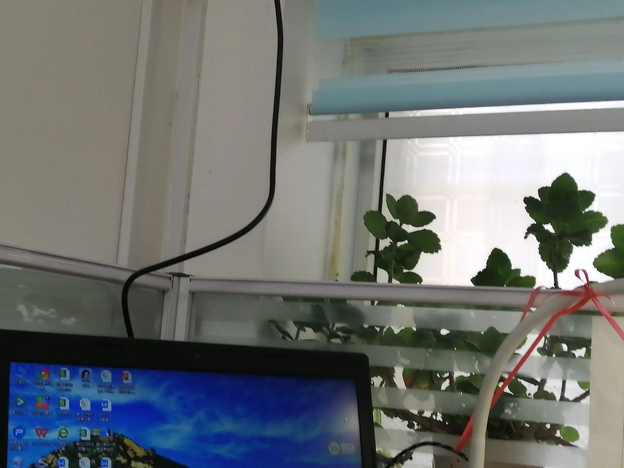 每周一的第一节课都上不动，学生还没从周末的慵懒乏困中醒过神，又要开始新的一周，这